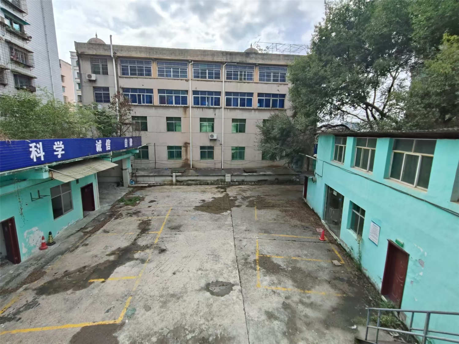 独栋物业出租 好停车带前后院